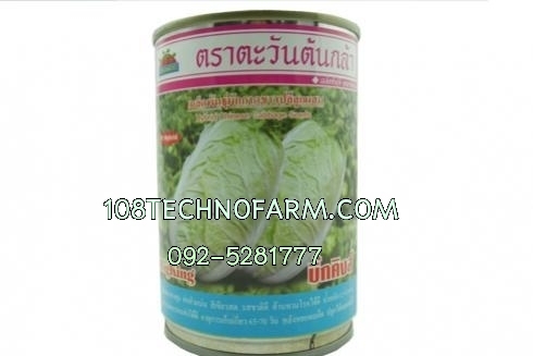 ผักกาดขาวบิ๊กคิงส์ 100g.